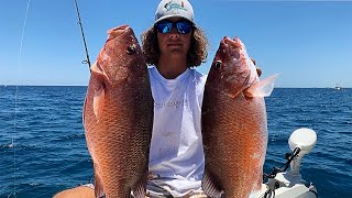 GIANT MANGROVE SNAPPER Catch Clean Cook Catching Giant Mangrove and mutton snappers [upl. by Yenot]