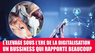 L Elevage sous lere de la digitalisation  un bussiness qui rapporte beaucoup [upl. by Morgen]