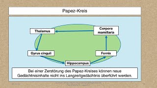 Modul 5 Lektion 244 Anatomie das Myelon PNS Papez Kreis und limbisches System [upl. by Nodnil]