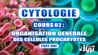 CYTOLOGIE 1ère année  Organisation Générale de la Cellule Procaryote  Partie1 [upl. by Hound]