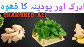 Adrak Aur Podeena Ka Kahwa Recipeby Shamsher Ali [upl. by Doolittle734]