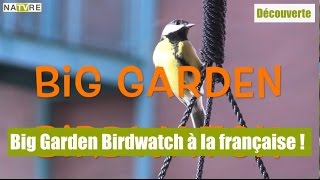 Bientôt le Big Garden Birdwatch à la française [upl. by Immak]