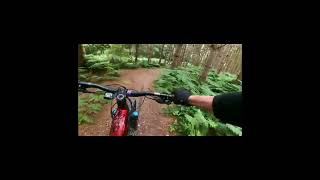 Rocky sections of Perry Cannock Chase mtb [upl. by Aralc486]