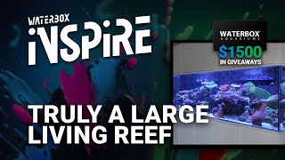 This is Truly a Living Reef  INSPIRE Day 3 [upl. by Eirrod]