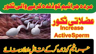 How To Active Sperms How To Increase Sperm QualityHow To Increase Motility of spermssperm herbal [upl. by Darcie]