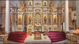 Divine Liturgy of the 20th Sunday after Pentecost on Sunday November 10 2024 [upl. by Lachance]