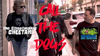 The Streetwalkin Cheetahs  quotCall The Dogsquot Official Music Video [upl. by Scuram]