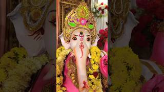 Khairatabad Ganpati Bapa Morya 🙏🏻2024 ganpati shorts [upl. by Alec]