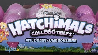 Hatchimals Colleggtibles Season One 12Pack Egg Carton from Spin Master [upl. by Donny162]