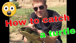 🔶How to catch a turtle [upl. by Asirrac]