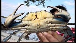 Crabbing New Jersey4th of July 2024 [upl. by Ontina795]