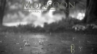 Dr Brixx  Monsoon One Direction v Grayscale [upl. by Reginauld]