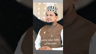 Chamak Tujh Se Pate Hen  Mohsin hamdani  Kalam e Alahazrat [upl. by Syxela]