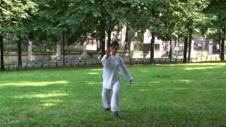 TAI CHI  Yang forma 24 part 1 [upl. by Are904]