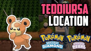 How to Catch Teddiursa  Pokémon Brilliant Diamond amp Shining Pearl [upl. by Ettesus62]