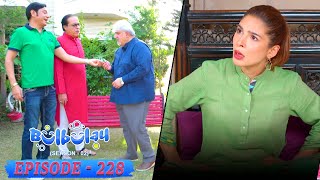 Bulbulay Season 2 Episode 228  Ayesha Omar amp Nabeel [upl. by Anicart]