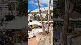 ☀️ Puerto Rico Gran Canaria puertorico grancanaria canaryislands [upl. by Tessler]