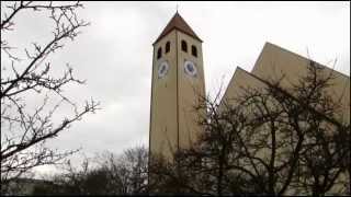 SCHWARZENFELD SAD Pfarrkirche Mariä Himmelfahrt  Vollgeläute [upl. by Enoch537]