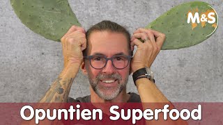 OPUNTIEN Superfood  Der Insider Futter Tipp gerade im Winter  Reptil TV [upl. by Reimer208]