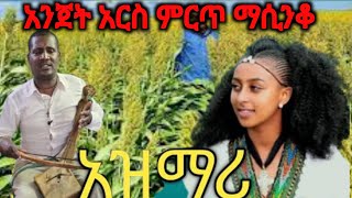 Ethiopia ምርጥ የትዝታ አዝማሪ ማሲንቆ  Best Ethiopian Traditional Azmari Masinko 674 [upl. by Intruoc]