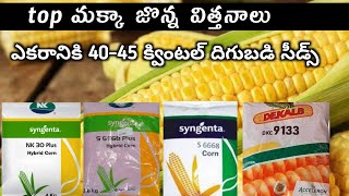 top makka seeds in rabi season  అధిక దిగుబడి ఇచ్చు మక్కా విత్తనాలు  Aaryanfarms [upl. by Aldridge556]