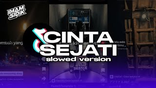 DJ CINTA SEJATI  slowed version Bootleg imamsidik New viral fyp tiktok [upl. by Linad]