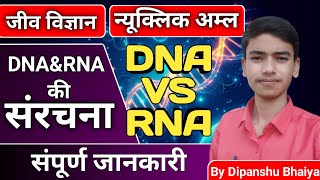 DNA VS RNA  DNA ky hota hai  RNA kya hota  Nucleic acid kya hota hai  class 12th  by Dipanshu [upl. by Trask5]