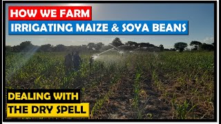 Farming in Zambia How We Irrigated Our Maize and Soya Beans Crops During the Long Dry Spell [upl. by Sandi668]