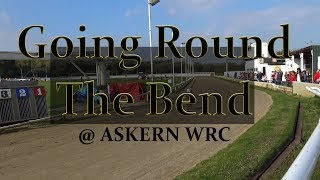 Going Round the Bend  Askern Whippet Racing Club [upl. by Ede751]