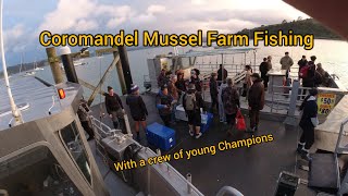 Coromandel Mussel Farm Fishing with a bunch of young Champions [upl. by Kannry896]