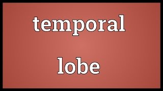 Temporal lobe Meaning [upl. by Nnylyoj98]