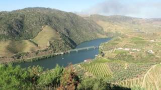 Douro Valley Portugal [upl. by Flam]