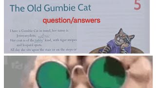 The Old Gumbie Cat Questionanswers Real English Viva Reader  language n literature latest [upl. by Eidroj]