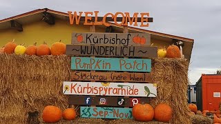 Pumpkin Patch Stockerau  Kürbishof [upl. by Alard109]