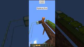 Minecraft pigling IQ Test [upl. by Nalek]