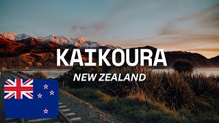 KAIKOURA NEW ZEALAND WHERE NATURES MAJESTY MEETS HISTORY  Best Things To And Guide kaikoura [upl. by Monjan]