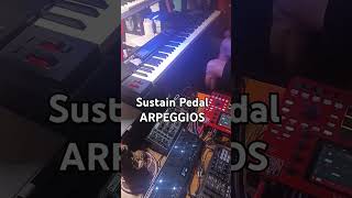 SUSTAIN PEDAL ARPEGGIOS argon8m wavetable synth [upl. by Nibram57]