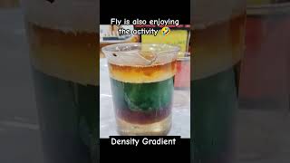 experiment 12th density exhibition chemistry funlearning learnchemistry [upl. by Sokin]