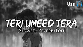 Teri Umeed Tera Intezar  Unplugged Slowed And Reverb  Indian Lofi  Rishi Kapoor  Diwana  Lofi [upl. by Pavel]