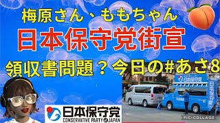 ちょっと雑談日本保守党の街宣 [upl. by Oilisab]