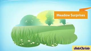 NCERT CLASS 7 English  Meadow Surprises [upl. by Linnell]