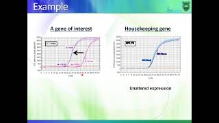 BioD6 Analysis of gene expression and RNA levels Arabic [upl. by Enihsnus481]