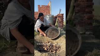 Moringa the magical tree organicgardener [upl. by Haduhey]