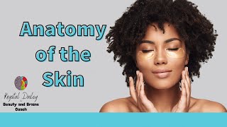 Anatomy of the skin Cosmetology Stateboard 2021 [upl. by Venu]