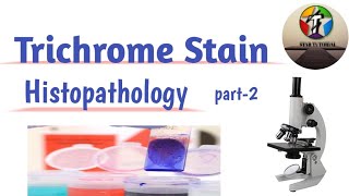 Trichrome Stain ll Staining Methods to Demonstrate Special or specific tissues ll Histology [upl. by Yarezed]