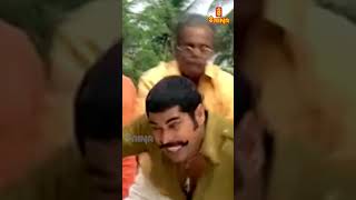 അയ്യോ അത് വേണ്ട എനിക്ക് ചിലപ്പോ നോവും 🤣 Chattambinaadu Salim Kumar [upl. by Nelleeus]