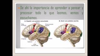 El Analfabetismo Funcional [upl. by Asiela]