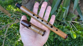 High E Whistle in Pearwood demo  Rui Gomes [upl. by Euqinomod]