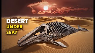 Why Does This Desert Have Lakh of Years Old Whale Fossils [upl. by Siraf]