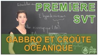 Gabbro et croûte océanique  SVT  1ère  Les Bons Profs [upl. by Rolando]